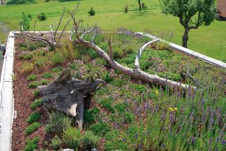 The “Biodiversity Green Roof” maximises the biodiversity of fauna and flora on the roof, thanks to substrate accumulation and design using “dead wood”, stones and much more … Green roof with dead wood